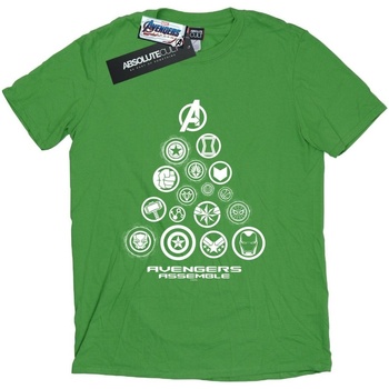 Abbigliamento Donna T-shirts a maniche lunghe Marvel Avengers Endgame Pyramid Icons Verde
