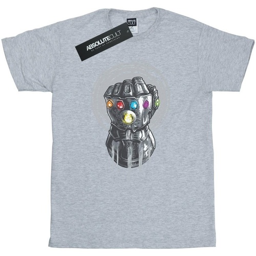 Abbigliamento Bambina T-shirts a maniche lunghe Marvel Avengers Infinity War Power Fist Grigio