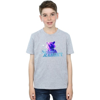 Abbigliamento Bambino T-shirt maniche corte Marvel Avengers Infinity War Sweet Rabbit Grigio