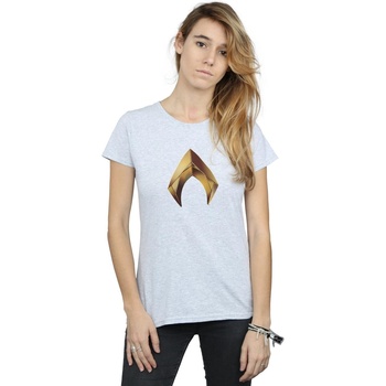 Abbigliamento Donna T-shirts a maniche lunghe Dc Comics Aquaman Emblem Grigio