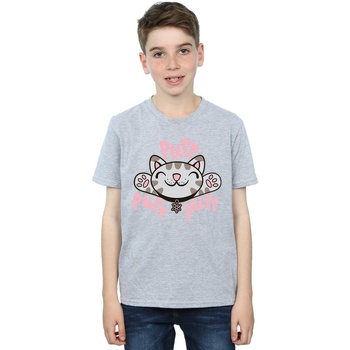 Abbigliamento Bambino T-shirt maniche corte Big Bang Theory  Grigio