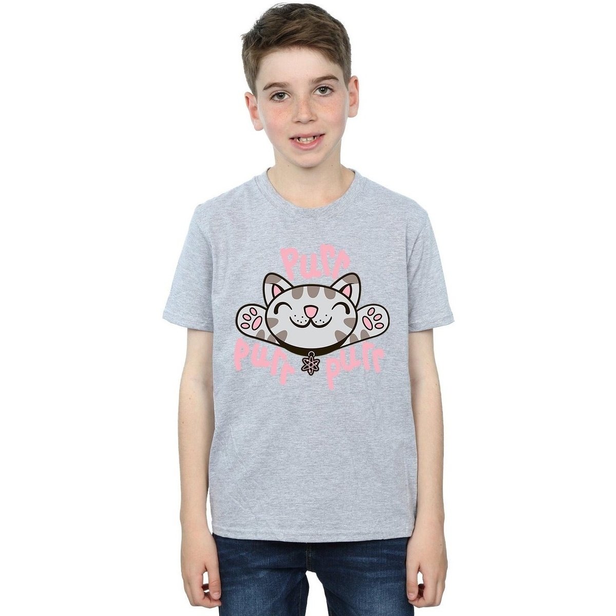 Abbigliamento Bambino T-shirt maniche corte Big Bang Theory Soft Kitty Purr Grigio