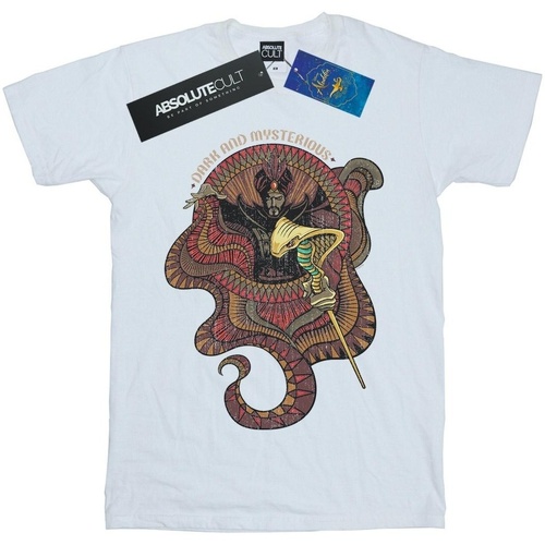 Abbigliamento Donna T-shirts a maniche lunghe Disney Aladdin Movie Jafar Dark And Mysterious Bianco