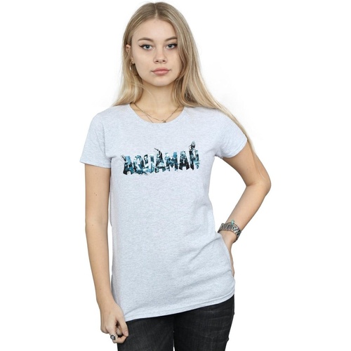 Abbigliamento Donna T-shirts a maniche lunghe Dc Comics Aquaman Text Logo Grigio