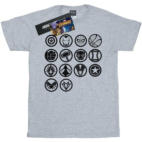 Abbigliamento Bambina T-shirts a maniche lunghe Marvel Avengers Infinity War Icons Assemble Grigio