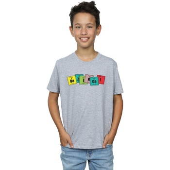 Abbigliamento Bambino T-shirt maniche corte The Big Bang Theory Bazinga Elements Grigio