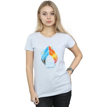 Abbigliamento Donna T-shirts a maniche lunghe Dc Comics Aquaman Tropical Logo Grigio