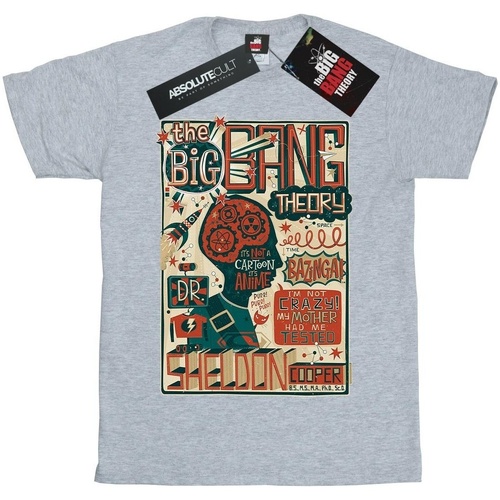 Abbigliamento Bambina T-shirts a maniche lunghe Big Bang Theory Infographic Poster Grigio