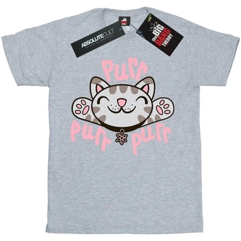 Abbigliamento Bambina T-shirts a maniche lunghe Big Bang Theory Soft Kitty Purr Grigio
