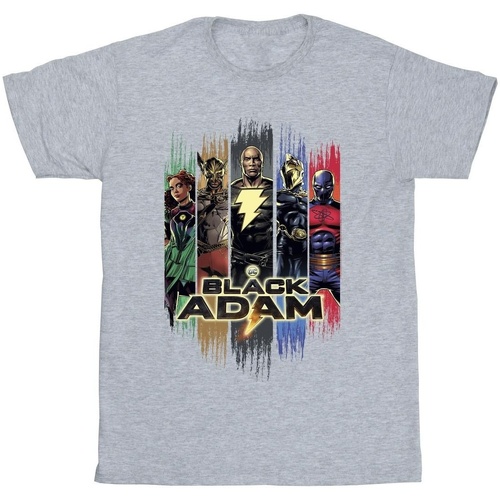Abbigliamento Bambino T-shirt maniche corte Dc Comics Black Adam JSA Complete Group Grigio
