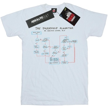 Abbigliamento Bambina T-shirts a maniche lunghe The Big Bang Theory Friendship Algorithm Bianco