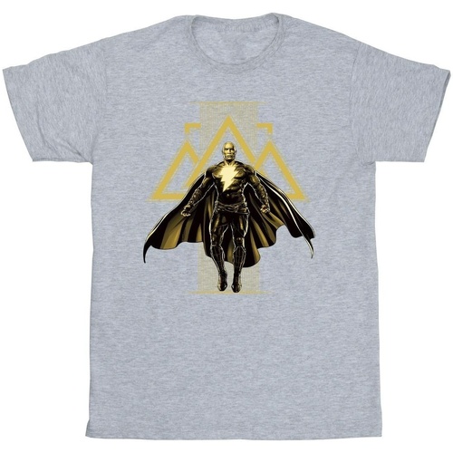 Abbigliamento Bambino T-shirt maniche corte Dc Comics Black Adam Rising Golden Symbols Grigio