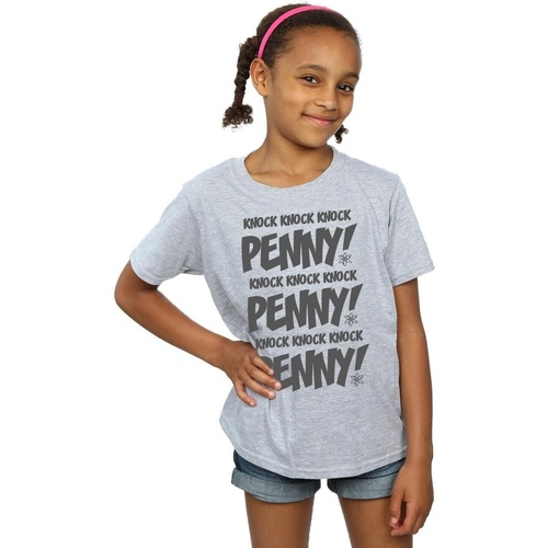 Abbigliamento Bambina T-shirts a maniche lunghe The Big Bang Theory Sheldon Knock Knock Penny Grigio