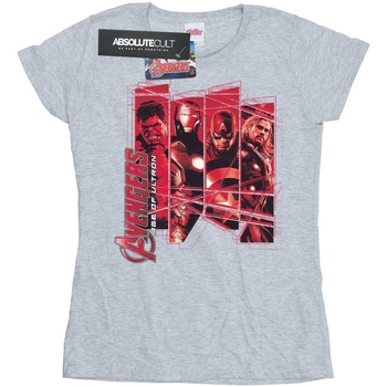 Abbigliamento Donna T-shirts a maniche lunghe Marvel Avengers Team Collage Grigio