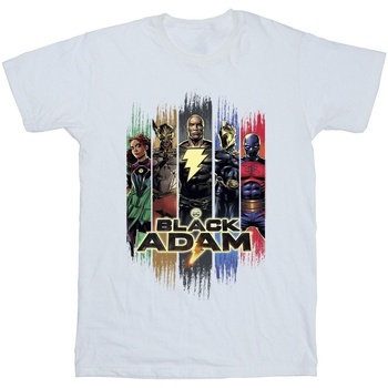 Abbigliamento Bambina T-shirts a maniche lunghe Dc Comics Black Adam JSA Complete Group Bianco