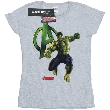 Abbigliamento Donna T-shirts a maniche lunghe Marvel Hulk Pose Grigio
