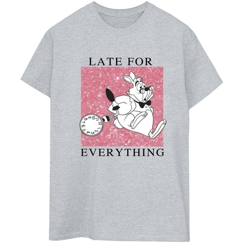 Abbigliamento Donna T-shirts a maniche lunghe Disney Alice In Wonderland White Rabbit Grigio