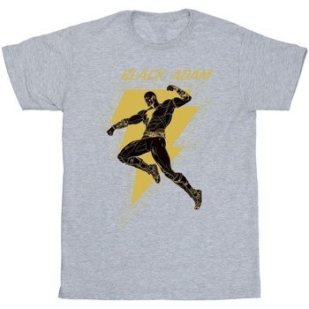 Abbigliamento Bambina T-shirts a maniche lunghe Dc Comics Black Adam Golden Bolt Chest Grigio