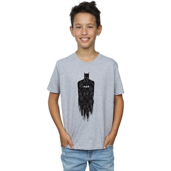 Abbigliamento Bambino T-shirt maniche corte Dc Comics Batman Brushed Grigio
