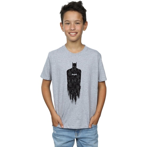 Abbigliamento Bambino T-shirt maniche corte Dc Comics Batman Brushed Grigio