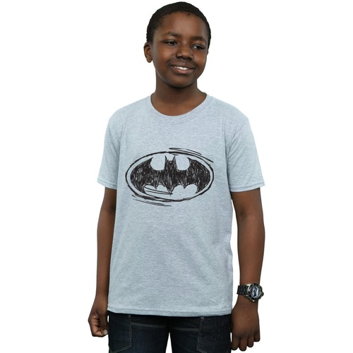 Abbigliamento Bambino T-shirt maniche corte Dc Comics Batman Sketch Logo Grigio