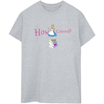 Abbigliamento Donna T-shirts a maniche lunghe Disney Alice In Wonderland How Curious Grigio