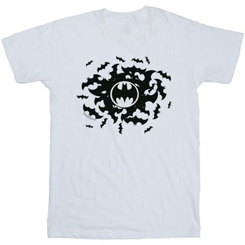 Abbigliamento Bambino T-shirt maniche corte Dc Comics Batman Bat Swirl Bianco
