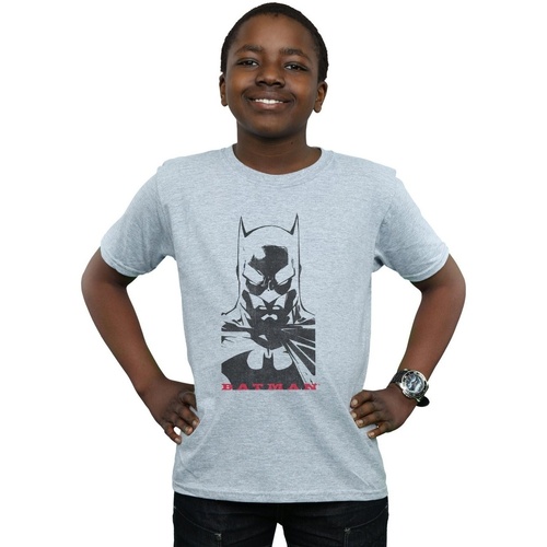 Abbigliamento Bambino T-shirt maniche corte Dc Comics Batman Solid Stare Grigio