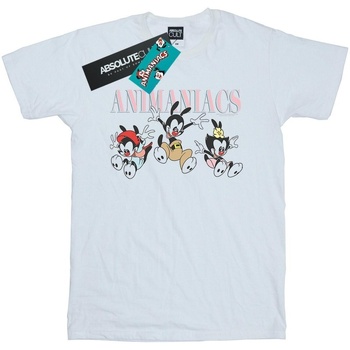 Abbigliamento Donna T-shirts a maniche lunghe Animaniacs Group Jump Bianco