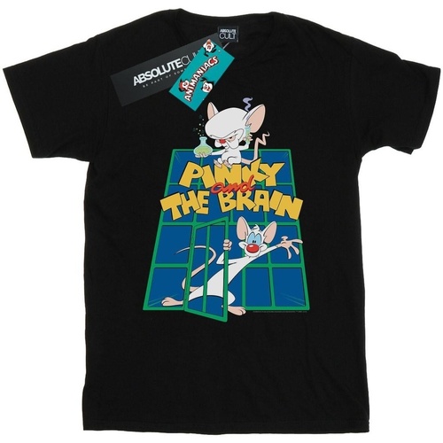 Abbigliamento Donna T-shirts a maniche lunghe Animaniacs Pinky And The Brain Laboratory Nero