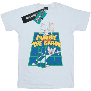 Abbigliamento Donna T-shirts a maniche lunghe Animaniacs Pinky And The Brain Laboratory Bianco