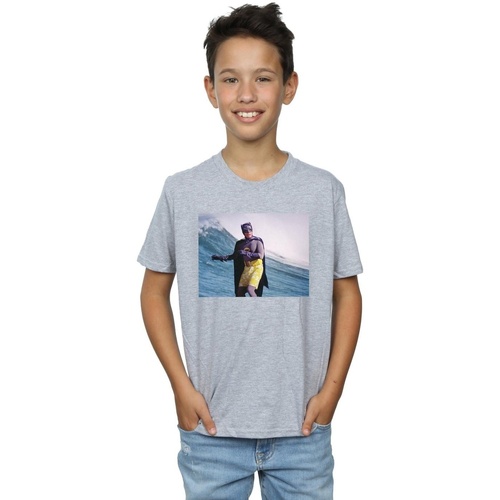 Abbigliamento Bambino T-shirt maniche corte Dc Comics Batman TV Series Surfing Still Grigio