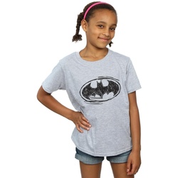 Abbigliamento Bambina T-shirts a maniche lunghe Dc Comics Batman Sketch Logo Grigio