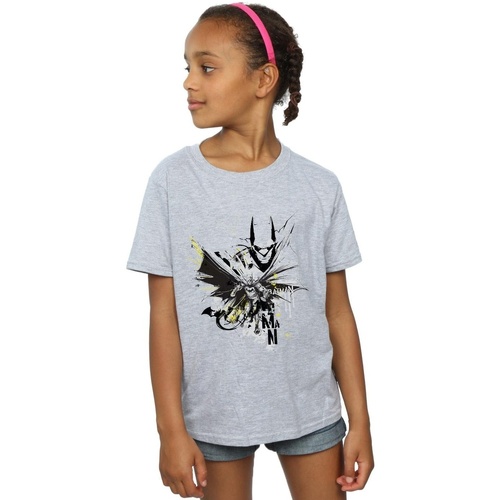 Abbigliamento Bambina T-shirts a maniche lunghe Dc Comics Batman Batface Splash Grigio