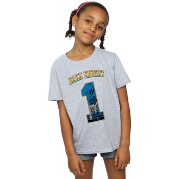 Abbigliamento Bambina T-shirts a maniche lunghe Dc Comics BI9224 Grigio