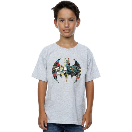 Abbigliamento Bambino T-shirt maniche corte Dc Comics Batman Comic Book Logo Grigio