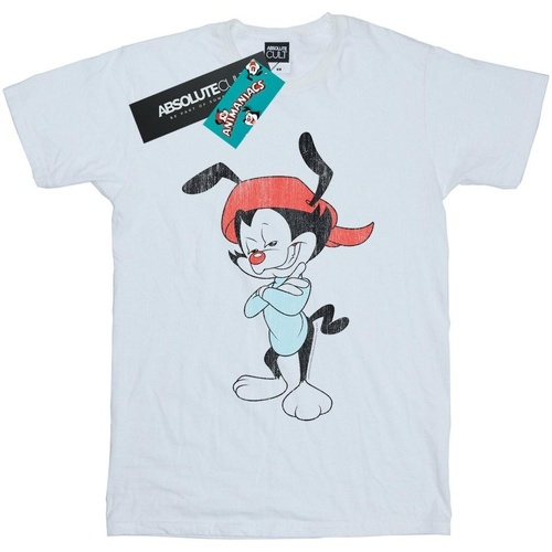 Abbigliamento Donna T-shirts a maniche lunghe Animaniacs Wakko Classic Pose Bianco