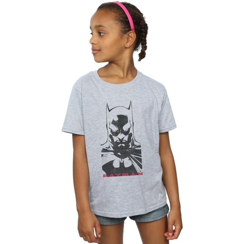 Abbigliamento Bambina T-shirts a maniche lunghe Dc Comics Batman Solid Stare Grigio