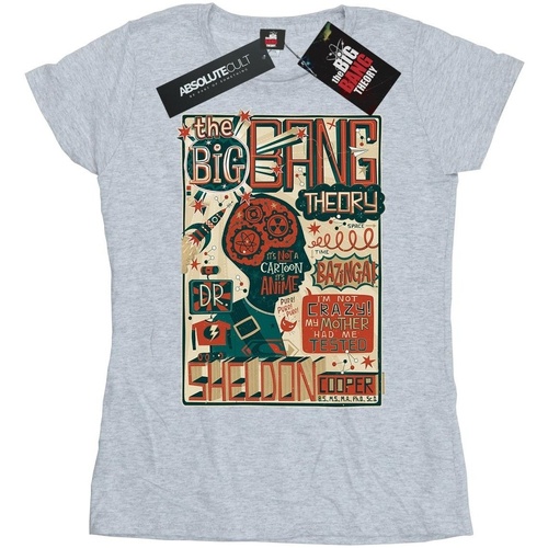 Abbigliamento Donna T-shirts a maniche lunghe Big Bang Theory Infographic Poster Grigio