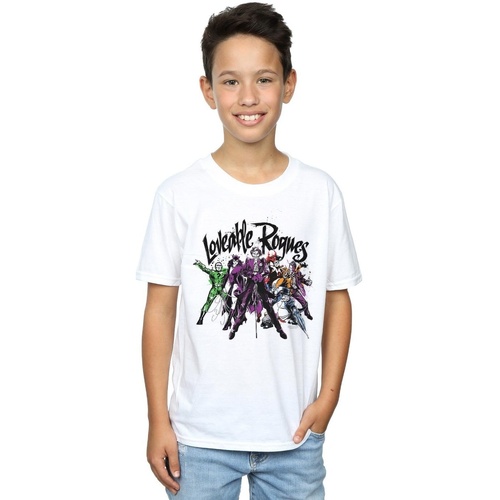 Abbigliamento Bambino T-shirt maniche corte Dc Comics Batman Loveable Rogues Bianco