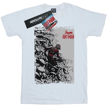 Abbigliamento Donna T-shirts a maniche lunghe Marvel Ant-Man Army Bianco