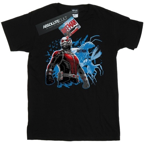 Abbigliamento Donna T-shirts a maniche lunghe Marvel Ant-Man Standing Nero