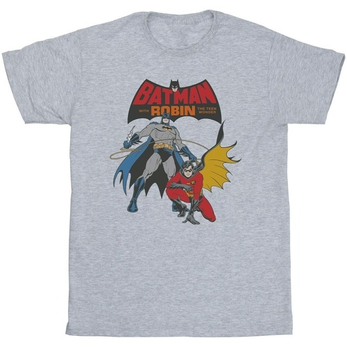 Abbigliamento Bambino T-shirt maniche corte Dc Comics Batman And Robin Grigio