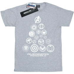 Abbigliamento Uomo T-shirts a maniche lunghe Marvel Avengers Endgame Pyramid Icons Grigio