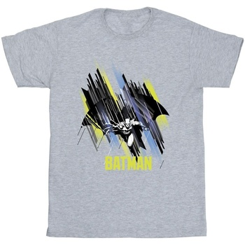 Abbigliamento Bambino T-shirt maniche corte Dc Comics Batman Flying Batman Grigio