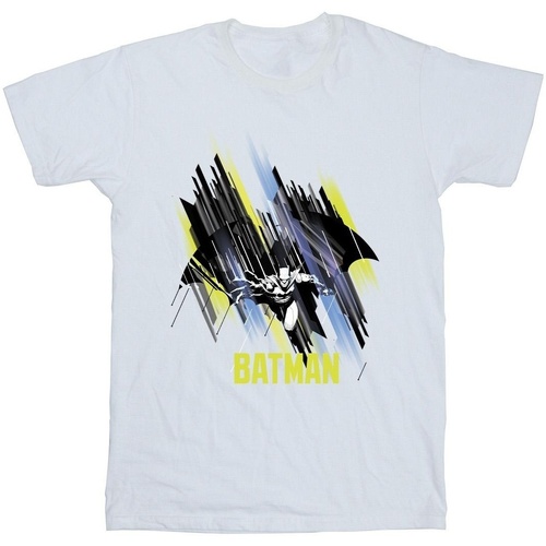 Abbigliamento Bambino T-shirt maniche corte Dc Comics Batman Flying Batman Bianco