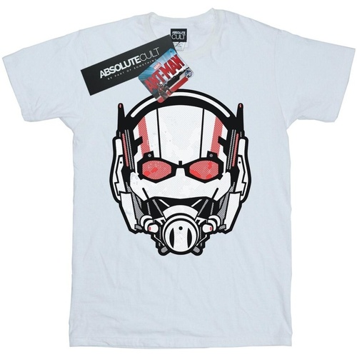 Abbigliamento Donna T-shirts a maniche lunghe Marvel Ant-Man Helmet Distressed Bianco