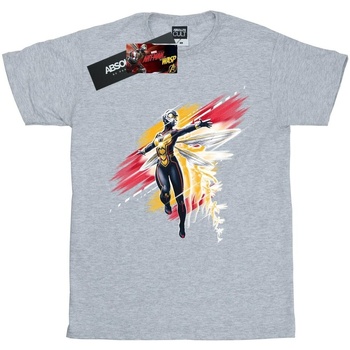 Abbigliamento Donna T-shirts a maniche lunghe Marvel Ant-Man And The Wasp Hope Brushed Grigio