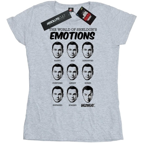 Abbigliamento Donna T-shirts a maniche lunghe The Big Bang Theory Sheldon Emotions Grigio