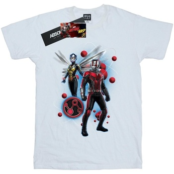 Abbigliamento Donna T-shirts a maniche lunghe Marvel Ant-Man And The Wasp Particle Pose Bianco